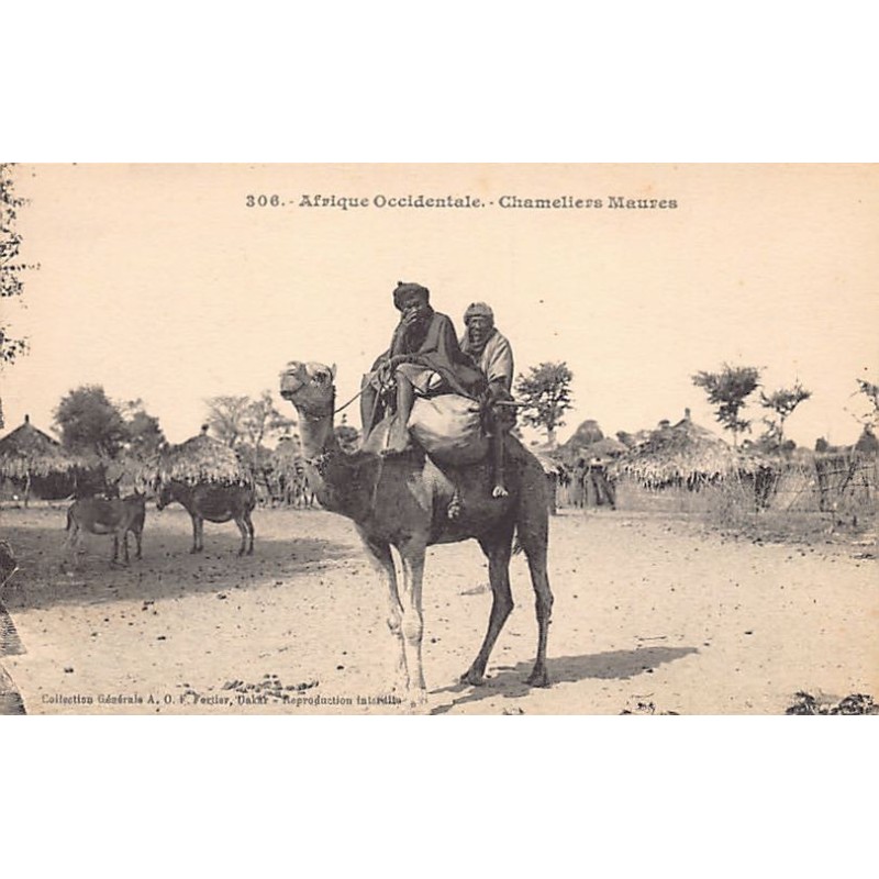 Rare collectable postcards of Mauritania. Vintage Postcards of Mauritania
