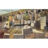 Rare collectable postcards of Bermuda. Vintage Postcards of Bermuda