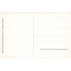 Rare collectable postcards of Bermuda. Vintage Postcards of Bermuda