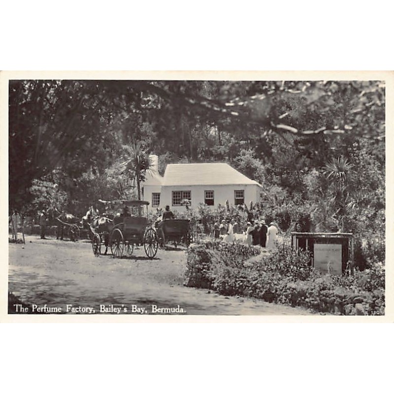 Rare collectable postcards of Bermuda. Vintage Postcards of Bermuda