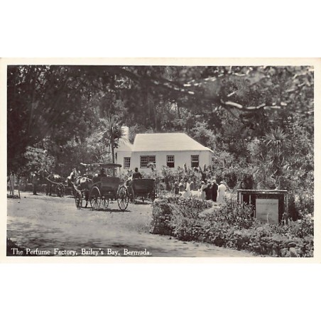 Rare collectable postcards of Bermuda. Vintage Postcards of Bermuda