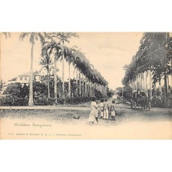 Rare collectable postcards of Guyana (British Guiana). Vintage Postcards of Guyana (British Guiana)