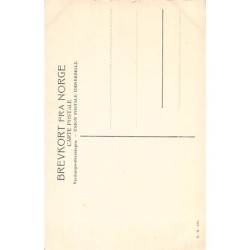 Rare collectable postcards of NORWAY. Vintage Postcards of NORWAY