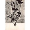 Rare collectable postcards of Djibouti. Vintage Postcards of Djibouti