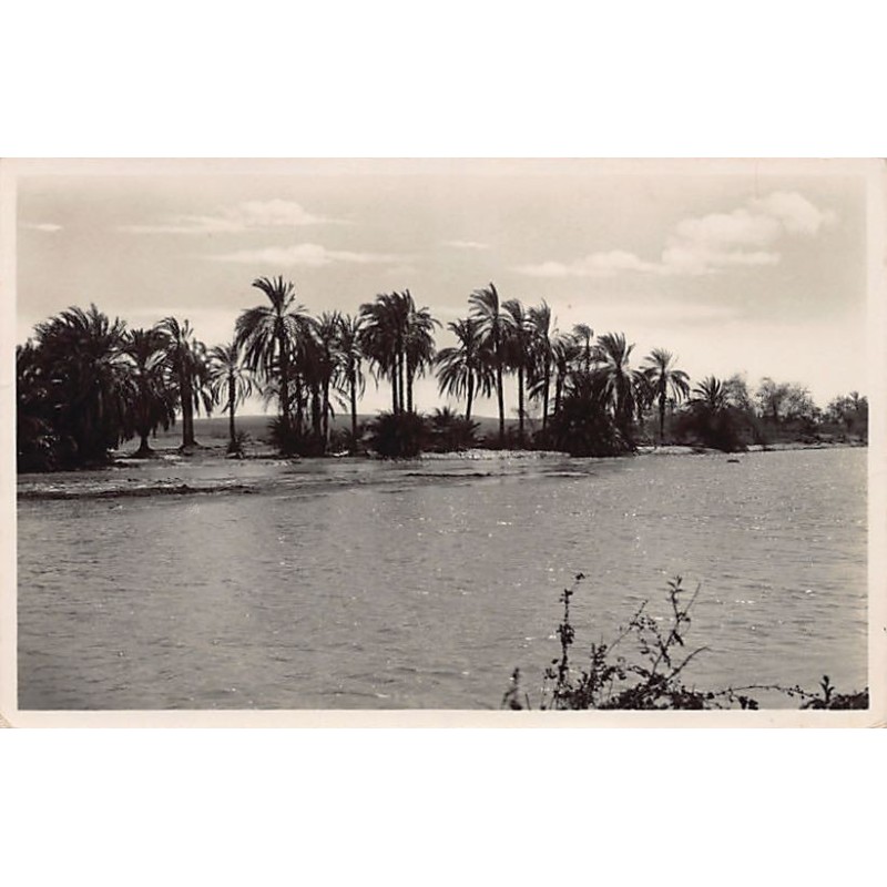 Rare collectable postcards of Djibouti. Vintage Postcards of Djibouti