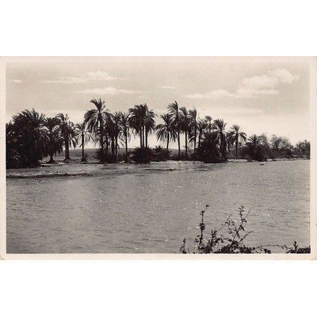 Rare collectable postcards of Djibouti. Vintage Postcards of Djibouti