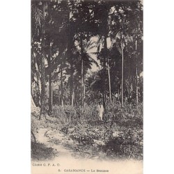Rare collectable postcards of Senegal. Vintage Postcards of Senegal