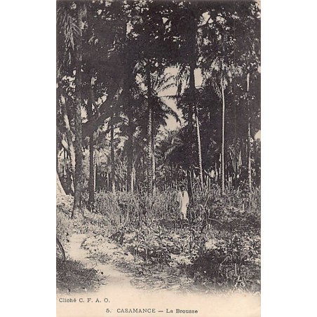 Rare collectable postcards of Senegal. Vintage Postcards of Senegal