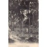 Rare collectable postcards of Senegal. Vintage Postcards of Senegal