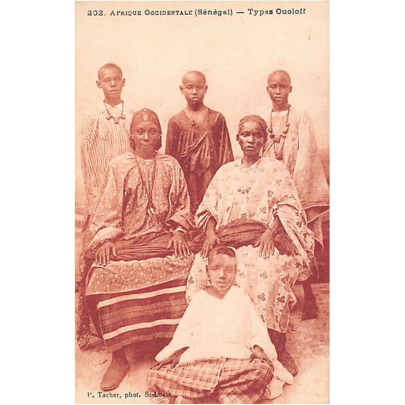 Rare collectable postcards of Senegal. Vintage Postcards of Senegal