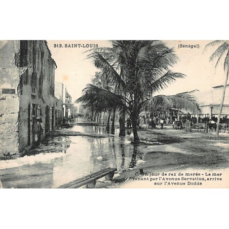 Rare collectable postcards of Senegal. Vintage Postcards of Senegal
