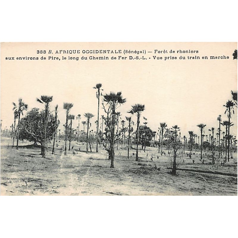 Rare collectable postcards of Senegal. Vintage Postcards of Senegal