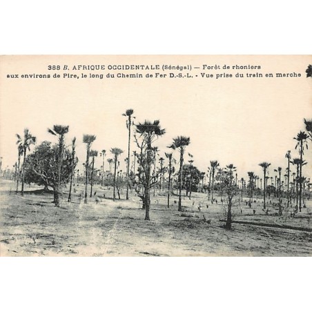 Rare collectable postcards of Senegal. Vintage Postcards of Senegal
