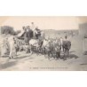 Rare collectable postcards of Algeria. Vintage Postcards of Algeria