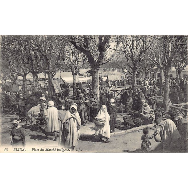 Rare collectable postcards of Algeria. Vintage Postcards of Algeria