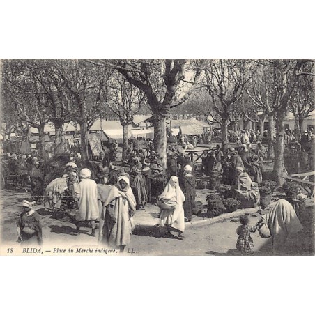 Rare collectable postcards of Algeria. Vintage Postcards of Algeria