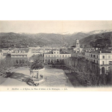 Rare collectable postcards of Algeria. Vintage Postcards of Algeria