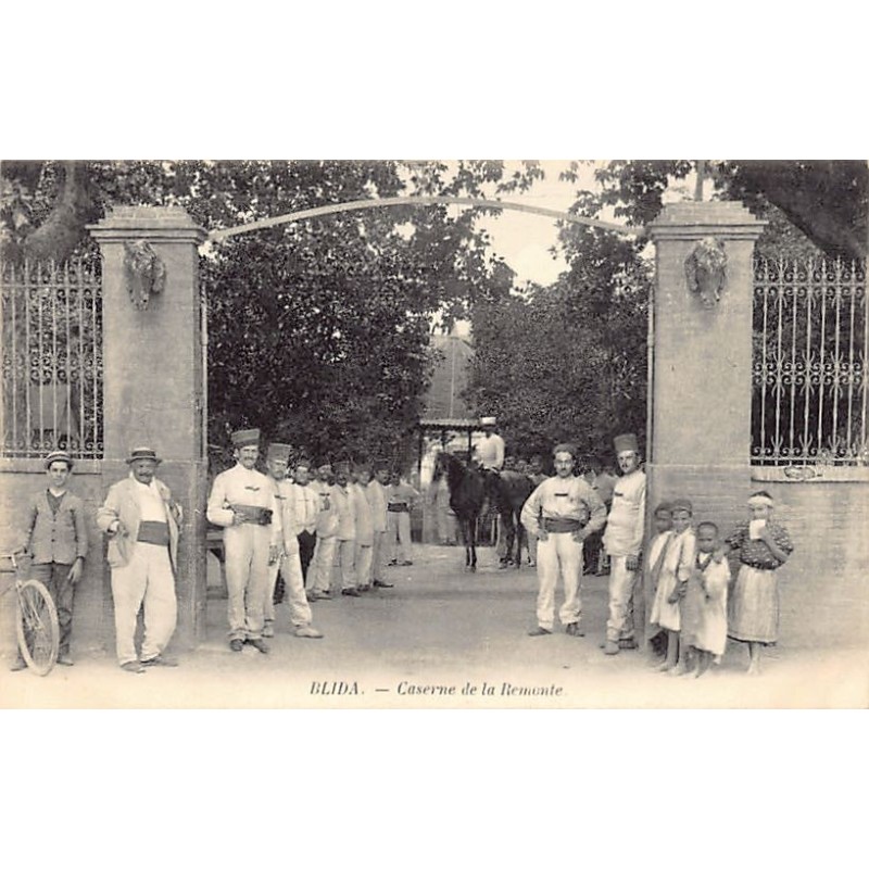 Rare collectable postcards of Algeria. Vintage Postcards of Algeria