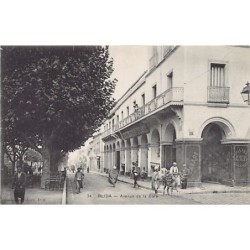 Rare collectable postcards of Algeria. Vintage Postcards of Algeria