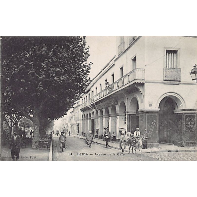 Rare collectable postcards of Algeria. Vintage Postcards of Algeria