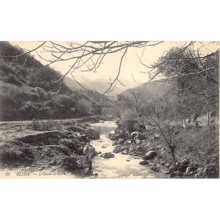 Rare collectable postcards of Algeria. Vintage Postcards of Algeria