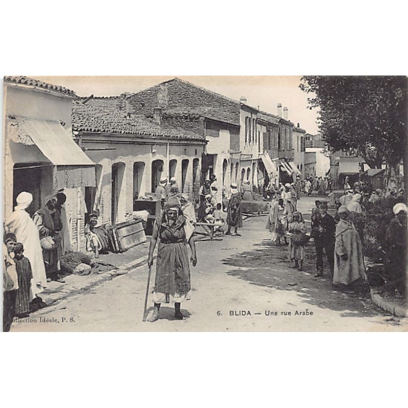 Rare collectable postcards of Algeria. Vintage Postcards of Algeria