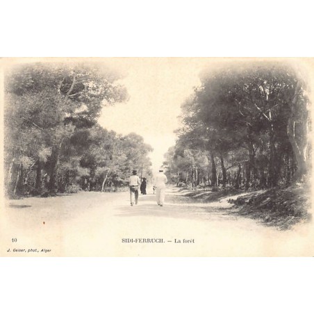 Rare collectable postcards of Algeria. Vintage Postcards of Algeria