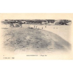 Rare collectable postcards of Algeria. Vintage Postcards of Algeria