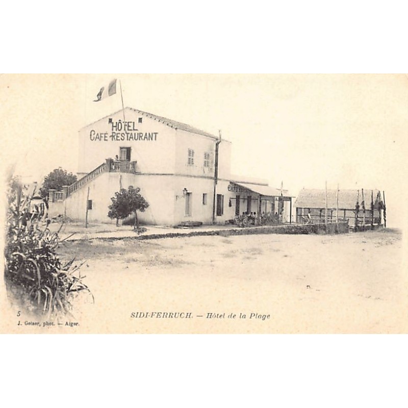 Rare collectable postcards of Algeria. Vintage Postcards of Algeria