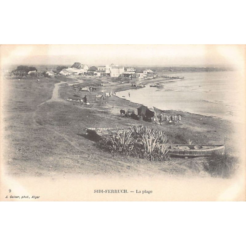 Rare collectable postcards of Algeria. Vintage Postcards of Algeria