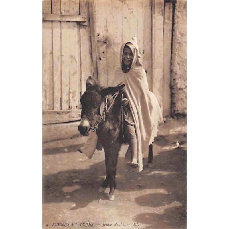 Rare collectable postcards of Algeria. Vintage Postcards of Algeria