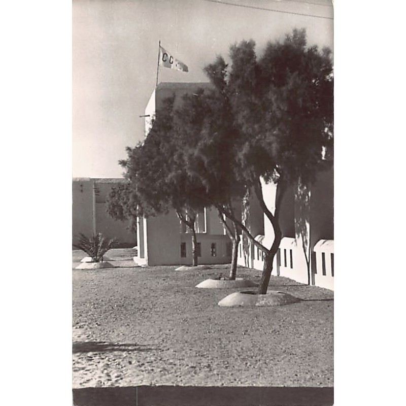 Rare collectable postcards of Algeria. Vintage Postcards of Algeria