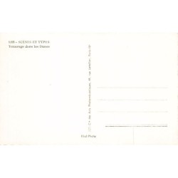 Rare collectable postcards of Algeria. Vintage Postcards of Algeria