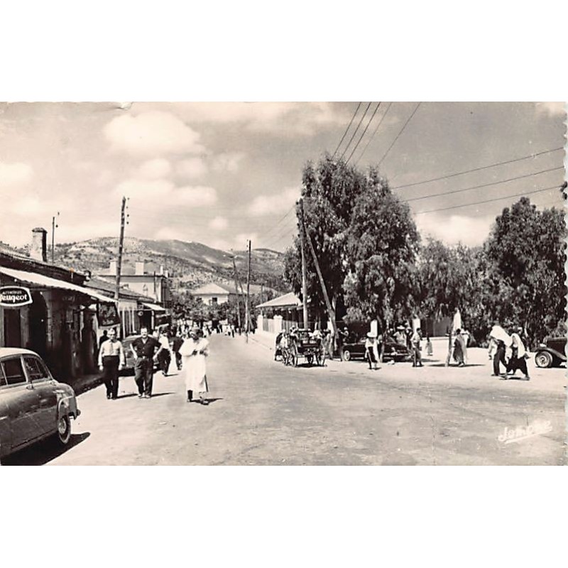 Rare collectable postcards of Algeria. Vintage Postcards of Algeria