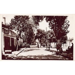 Rare collectable postcards of Algeria. Vintage Postcards of Algeria