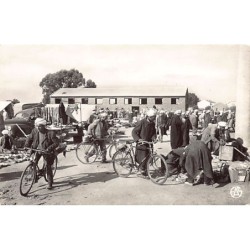 Rare collectable postcards of Algeria. Vintage Postcards of Algeria