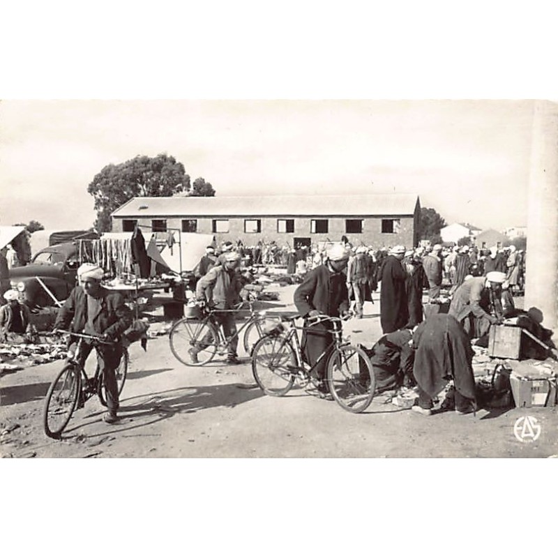 Rare collectable postcards of Algeria. Vintage Postcards of Algeria