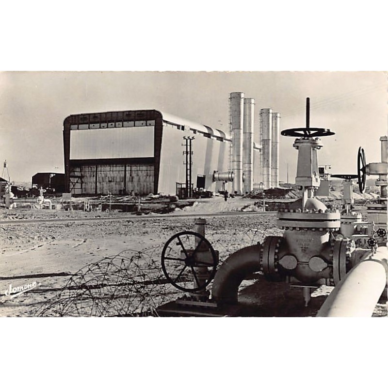 Rare collectable postcards of Algeria. Vintage Postcards of Algeria