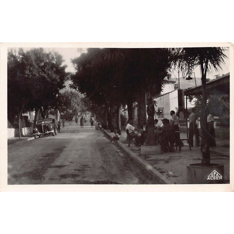 Rare collectable postcards of Algeria. Vintage Postcards of Algeria