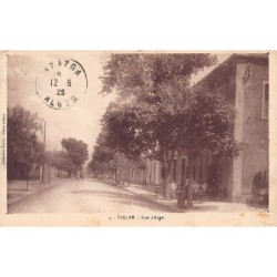 Rare collectable postcards of Algeria. Vintage Postcards of Algeria