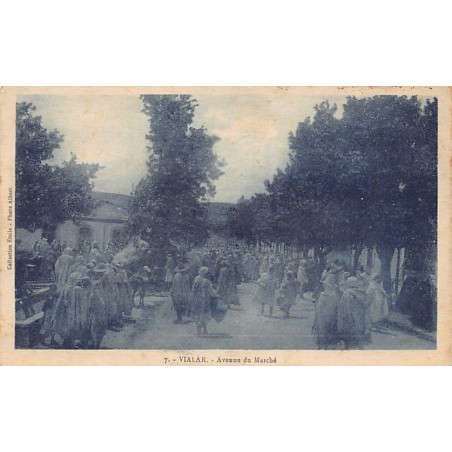 Rare collectable postcards of Algeria. Vintage Postcards of Algeria