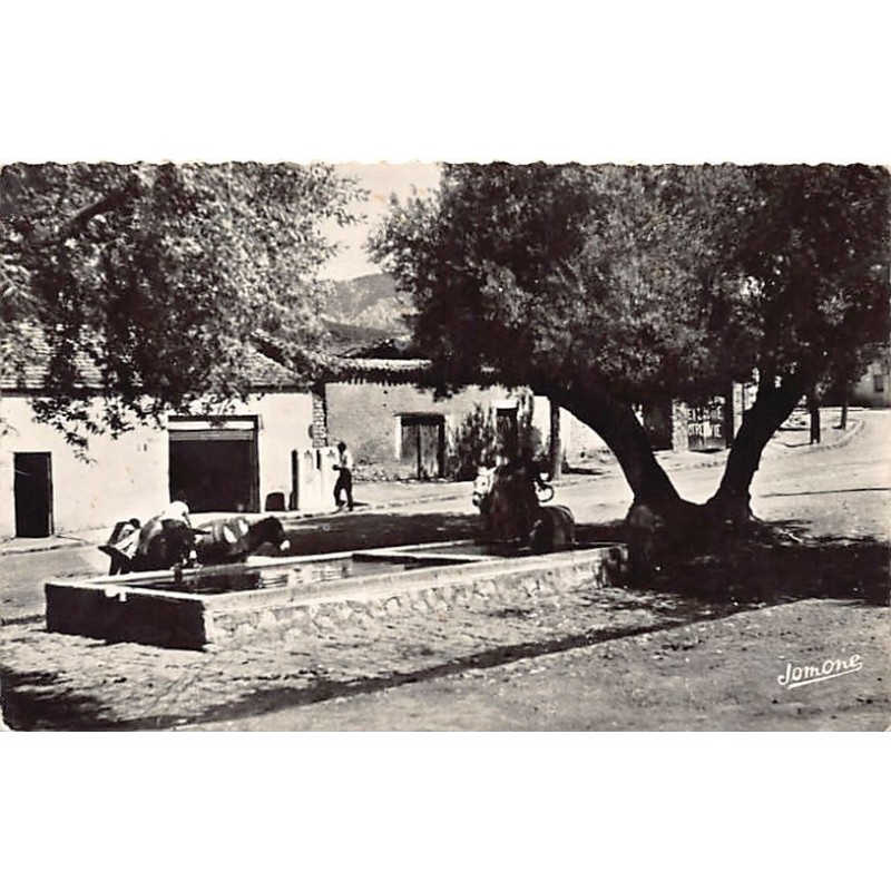 Rare collectable postcards of Algeria. Vintage Postcards of Algeria