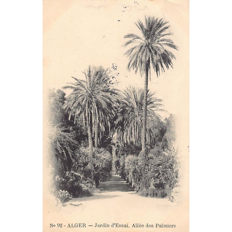 Rare collectable postcards of Algeria. Vintage Postcards of Algeria