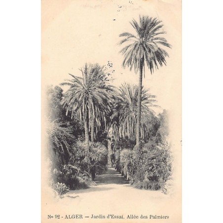 Rare collectable postcards of Algeria. Vintage Postcards of Algeria