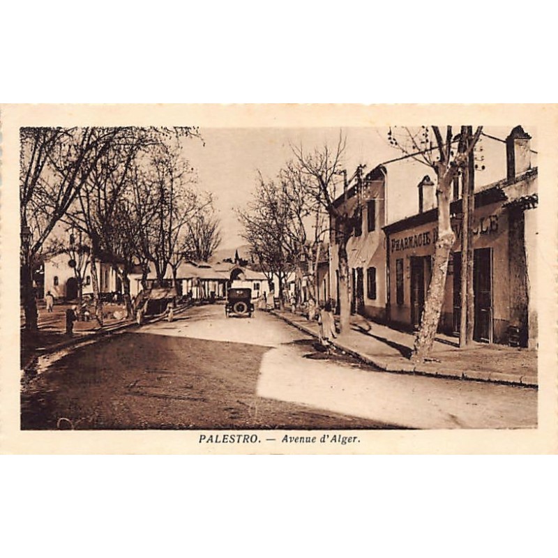 Rare collectable postcards of Algeria. Vintage Postcards of Algeria