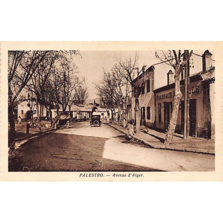 Rare collectable postcards of Algeria. Vintage Postcards of Algeria