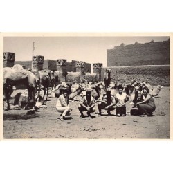 Rare collectable postcards of Algeria. Vintage Postcards of Algeria