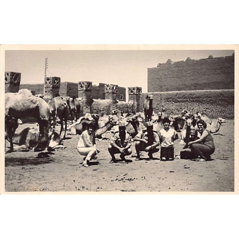 Rare collectable postcards of Algeria. Vintage Postcards of Algeria