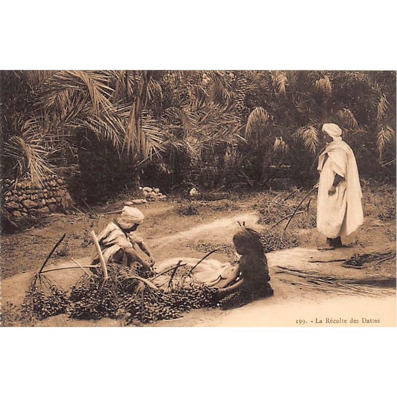 Rare collectable postcards of Tunisia. Vintage Postcards of Tunisia