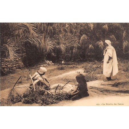 Rare collectable postcards of Tunisia. Vintage Postcards of Tunisia